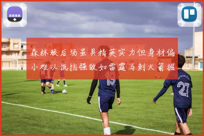 森林狼后场虽具精英实力但身材偏小难以抵挡强敌如雷霆马刺火箭掘金
